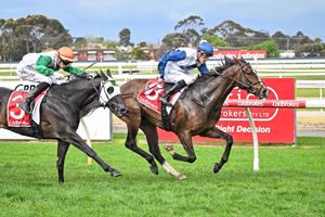 BUSTLING BILLY LANDS VALUE REWARD